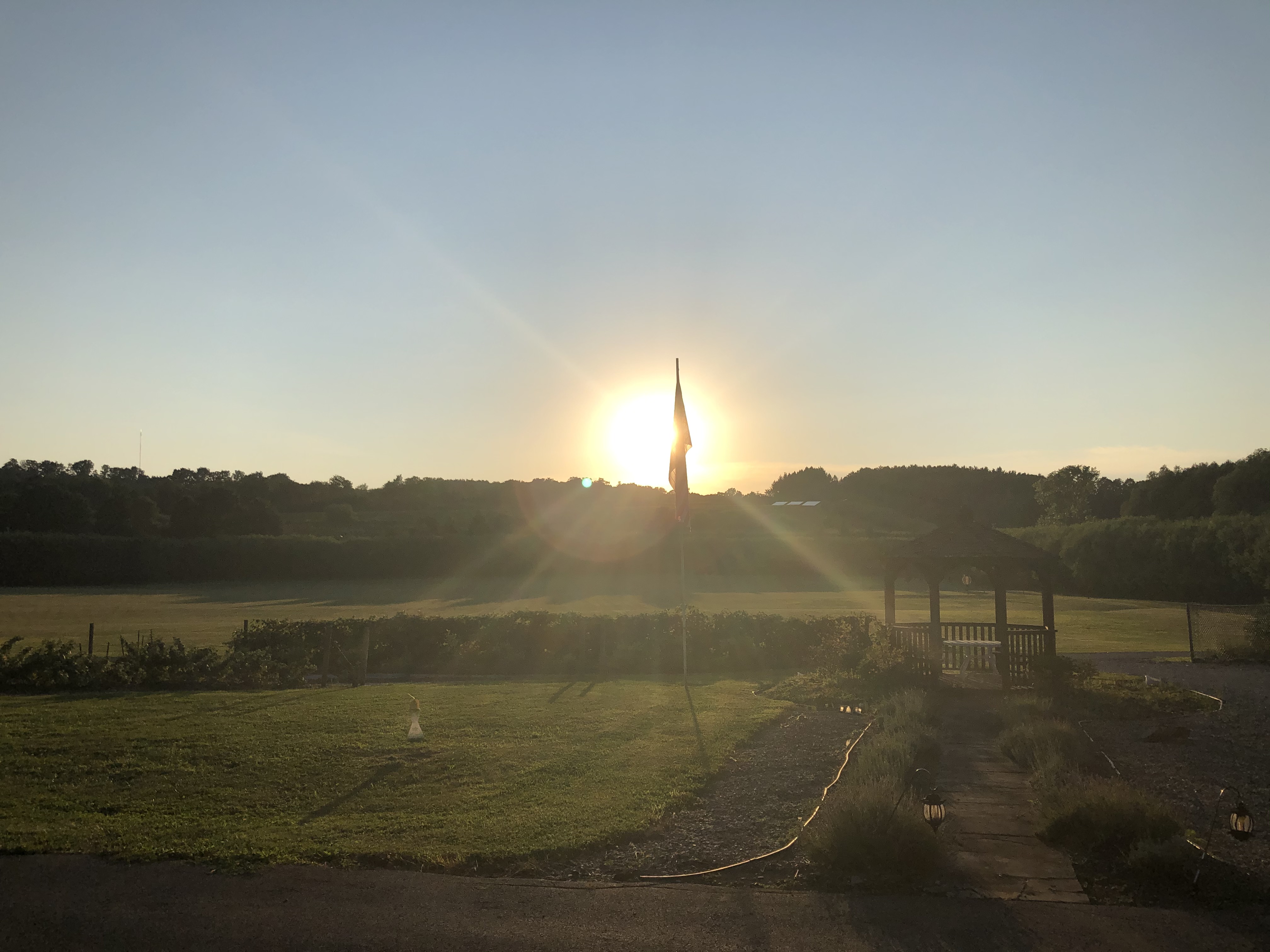 Sun Set
